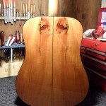 exotic and local tone woods used for custom guitars