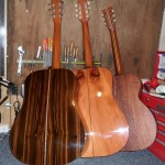 exotic and local tone wood